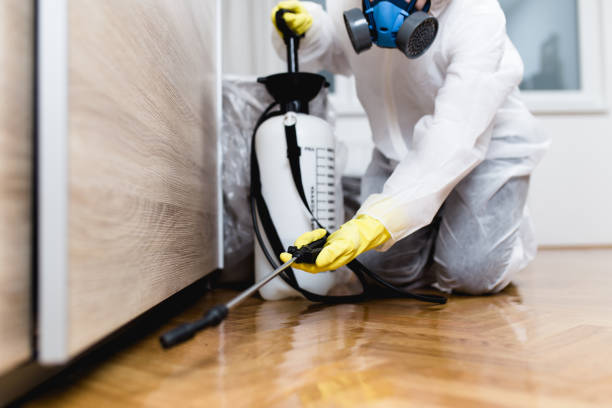 Best Best Pest Control Near Me  in Minier, IL