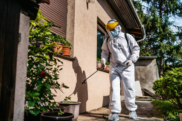 Best Pest Control Treatment  in Minier, IL