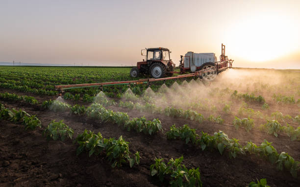 Reliable Minier, IL Pest Control Solutions