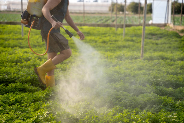 Best Mosquito Control Services  in Minier, IL