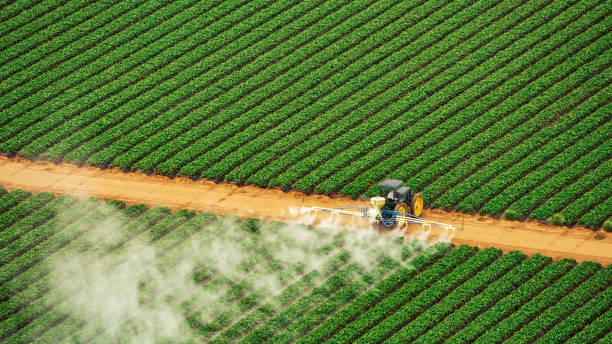 Best Pest Control Near Me in Minier, IL