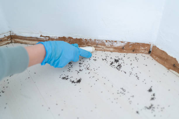 Best Pest Removal Services  in Minier, IL